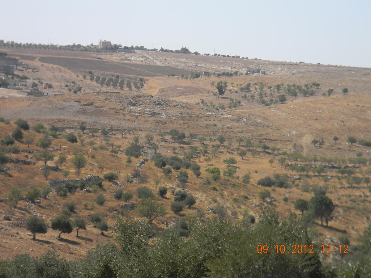 Вилла Town Of Mount Nebo Мадаба Экстерьер фото