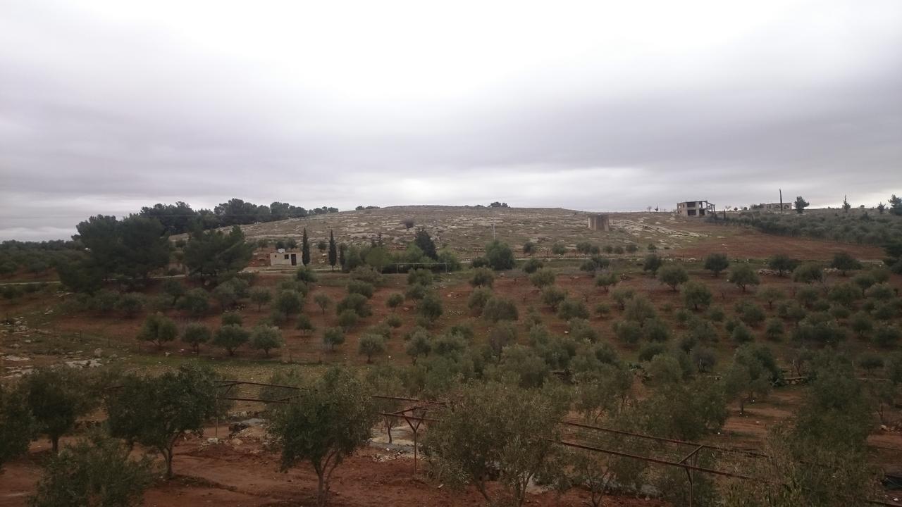 Вилла Town Of Mount Nebo Мадаба Экстерьер фото